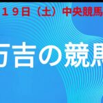 7月1９日中央競馬予想