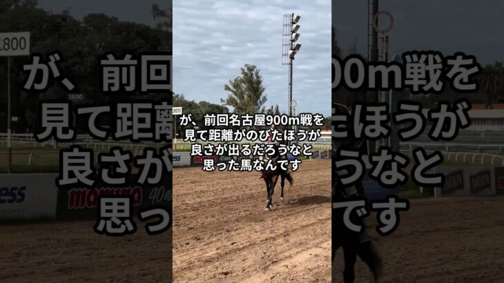 7月10日の名古屋5R推奨馬 #競馬 #競馬予想