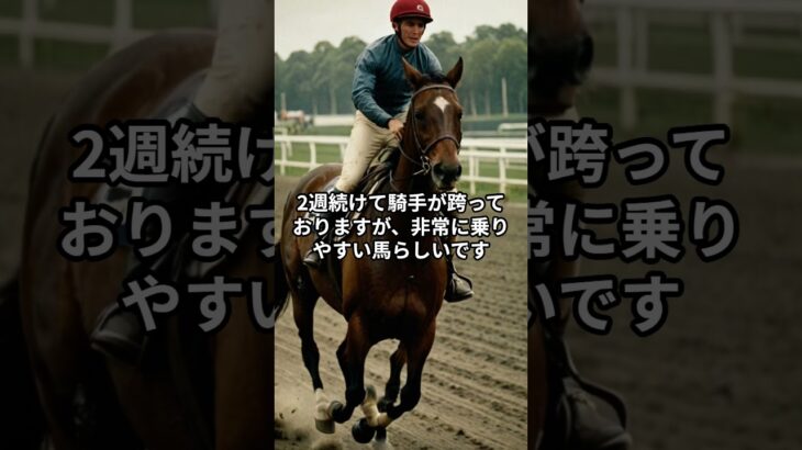 7月13日の函館5R推奨馬 #競馬 #競馬予想