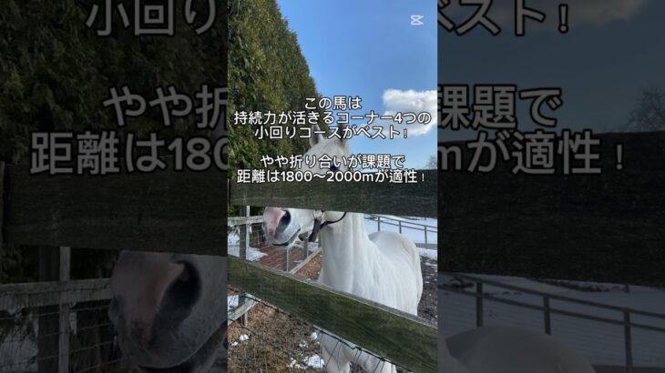 【競馬】7月19日の自信の狙い馬！#小倉記念 #小倉記念2025 #メリオーレム #パピ #シェイクユアハート #ディープモンスター #競馬 #g3 #競馬予想