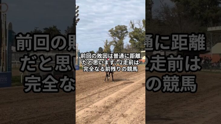 7月21日の浦和1R推奨馬 #競馬 #浦和競馬