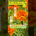 【新企画！ブレイクタイム競馬！】次世代競馬芸人がランチタイムに競馬予想！もういっちょ！とん平が５００円で馬券勝負！7/23、35日目の結果は！？【カンテレ競馬×そのだけいばコラボ・新企画】