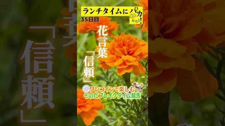 【新企画！ブレイクタイム競馬！】次世代競馬芸人がランチタイムに競馬予想！もういっちょ！とん平が５００円で馬券勝負！7/23、35日目の結果は！？【カンテレ競馬×そのだけいばコラボ・新企画】