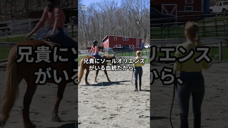 7月27日の新潟3R推奨馬 #競馬 #競馬予想