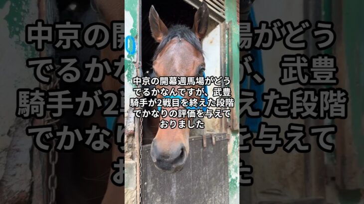 7月27日の中京8R推奨馬 #競馬 #競馬予想