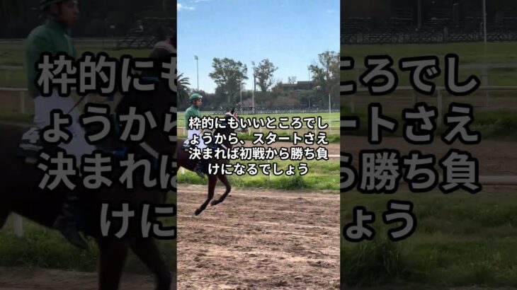 7月31日の船橋2R推奨馬 #競馬 #競馬予想