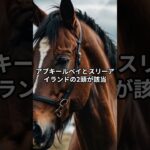 7月6日（日）北九州記念推奨馬＃競馬予想＃アブキールベイ