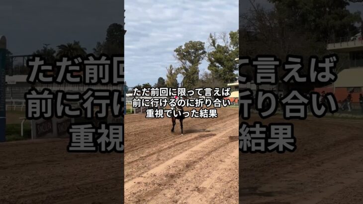 7月6日の函館2R推奨馬 #競馬 #競馬予想