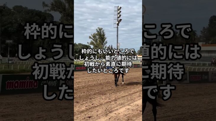 7月6日の函館5R推奨馬 #競馬 #競馬予想