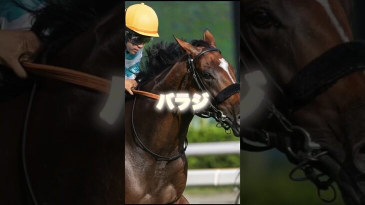 G3七夕賞の穴馬を３頭紹介＃競馬＃競馬予想＃夏競馬＃ニシノレヴナント＃バラジ＃リフレーミング