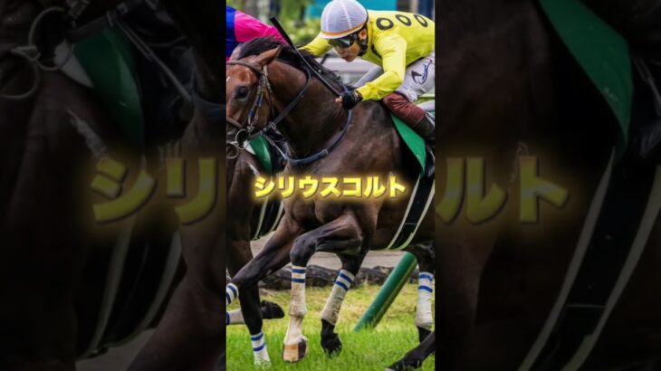 G3七夕賞の注目を３頭紹介＃競馬＃競馬予想＃夏競馬＃ドゥラドーレス＃シリウスコルト＃コスモフリーゲン