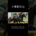 小倉記念G3予想　　　　　　　#競馬予想 #競馬 #小倉記念 #undead