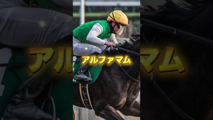 G3東海Sの穴馬を3頭紹介＃競馬＃競馬予想＃夏競馬＃サンライズフレイム＃アルファマム＃リジル