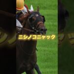 G3アイビスSDの穴馬を３頭紹介＃競馬＃競馬予想＃夏競馬＃千直＃モズメイメイ＃ウイングレイテスト＃ニシノコニャック＃菊沢