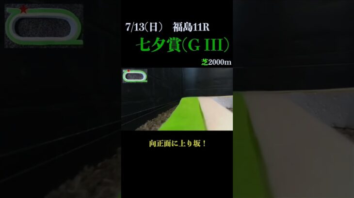 【買っちゃえばいいじゃん】七夕賞(ＧIII) 2025 #競馬予想 #win5