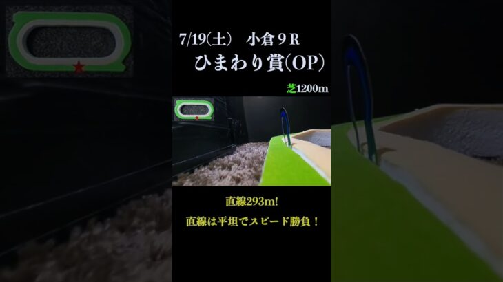 【買っちゃえばいいじゃん】ひまわり賞(OP) 2025 #競馬予想