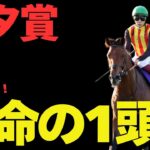 【日曜特別R競馬予想】超波乱の七夕賞!? 適性・展開MAXな信頼軸と穴馬リスト【巴賞2025】