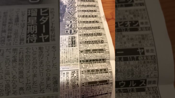 東海 S  ◎ヤマニン　#競馬予想