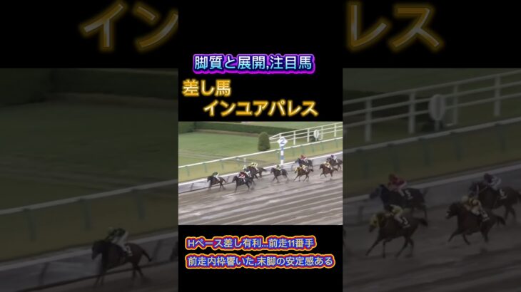 🐴[東海S]出走馬の脚質と展開🐴#競馬予想 #競馬 #東海ステークス2025　#東海ステークス