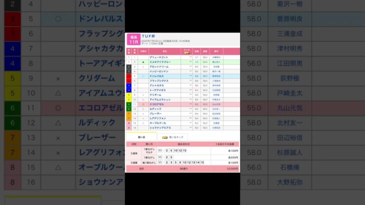 福島競馬場 メインレース TUF杯 を予想します #競馬 #予想 #競馬予想 #買い目 #福島11r #福島競馬 #福島競馬場 #jra #TUF杯 #メインレース