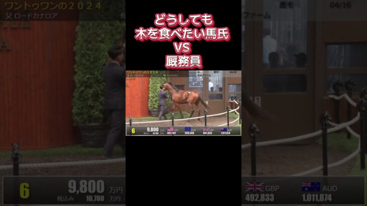 どうしても木を食べたい馬氏 VS 厩務員 #競馬 #horse #競馬予想 #セレクトセール #ウマ娘 #競走馬 #馬セリ