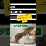 しゃろの七夕賞予想動画にゃ #競馬予想 #猫好きさんと繋がりたい #中央競馬予想 #猫 #猫のいる暮らし #馬 #七夕賞#福島競馬場 #cat #ウマ#馬#競馬#2025