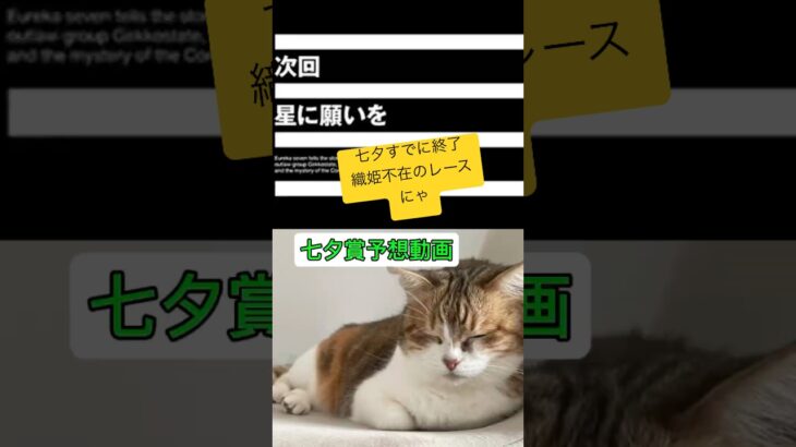 しゃろの七夕賞予想動画にゃ #競馬予想 #猫好きさんと繋がりたい #中央競馬予想 #猫 #猫のいる暮らし #馬 #七夕賞#福島競馬場 #cat #ウマ#馬#競馬#2025