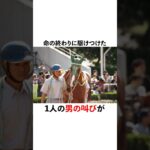 厩務員・加茂さん✖️サイレンススズカ #競馬 #中央競馬予想 #中央競馬 #horse #競馬予想 #地方競馬