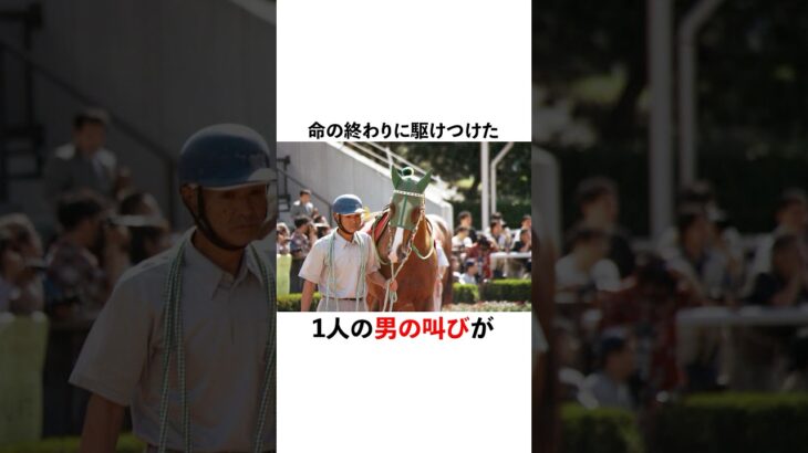 厩務員・加茂さん✖️サイレンススズカ #競馬 #中央競馬予想 #中央競馬 #horse #競馬予想 #地方競馬