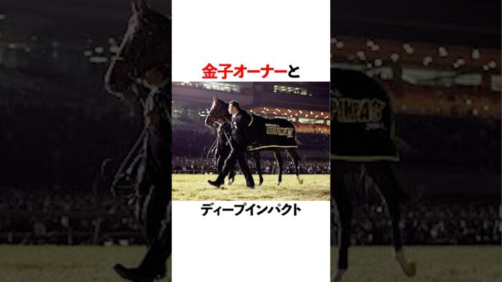 金子オーナーとディープインパクト #競馬 #中央競馬予想 #中央競馬 #競馬予想 #競馬好きな人と繋がりたい #horse #金子オーナー#ディープインパクト #武豊