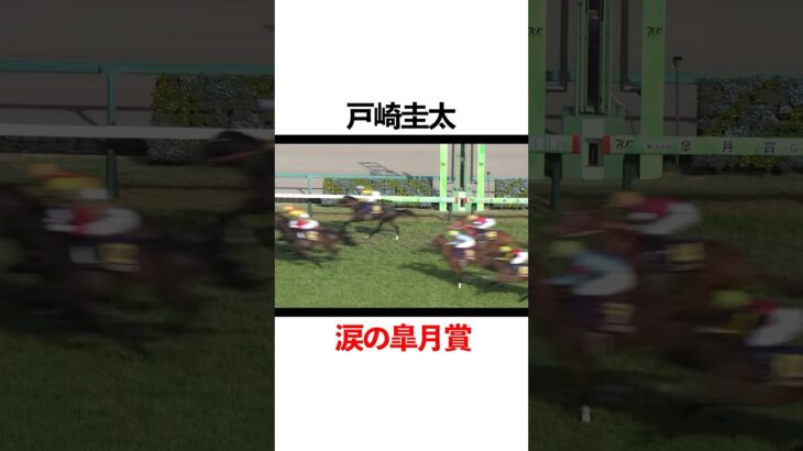戸崎圭太✖️藤岡康太 #競馬 #戸崎圭太 #藤岡康太#競馬予想 #競馬好きな人と繋がりたい #中央競馬 #中央競馬予想 #horse #地方競馬 #地方競馬予想 #競馬女子