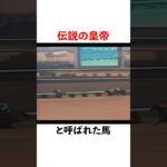 『シンボリルドルフ』伝説の皇帝 #競馬 #中央競馬 #競馬予想 #中央競馬予想 #horse #シンボリルドルフ #競馬女子 #名馬