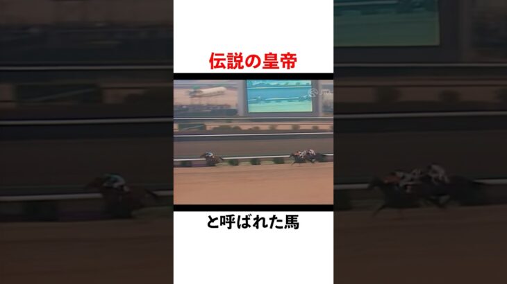 『シンボリルドルフ』伝説の皇帝 #競馬 #中央競馬 #競馬予想 #中央競馬予想 #horse #シンボリルドルフ #競馬女子 #名馬