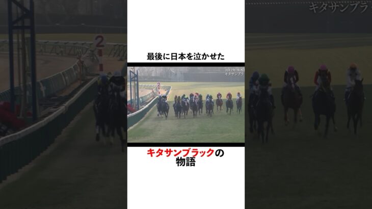 キタサンブラックの物語#キタサンブラック#競馬 #競馬予想 #競馬好きな人と繋がりたい #中央競馬予想 #中央競馬 #horse