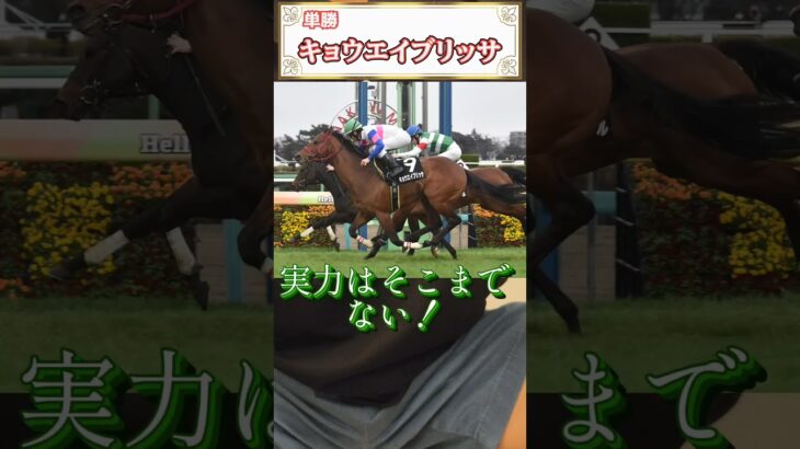 高校生が予想してみた！in関屋記念            #競馬#競馬予想#関屋記念#chatGPT