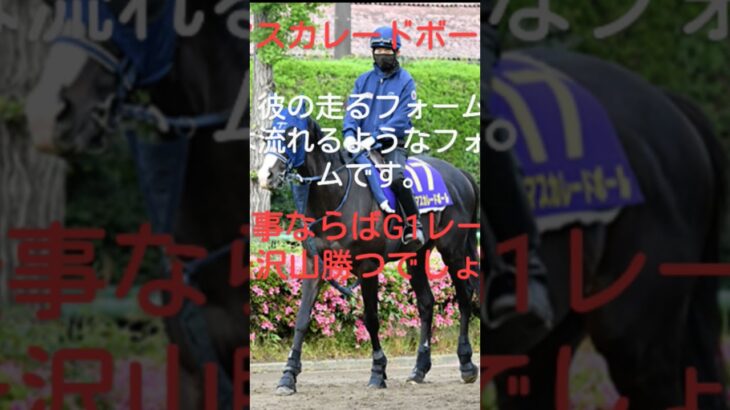 #マスカレードボールの未来 #music #サムsomethingroyal #競馬予想 #jra競馬 #jra競馬予想