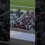表彰式後神対応の戸崎騎手 #shorts #競馬 #競馬予想 #競馬場 #戸崎圭太 #けいば #騎手