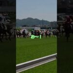 福島競馬場スタート直後感動する人 #shorts #競馬 #競馬予想 #競馬場 #けいば #馬