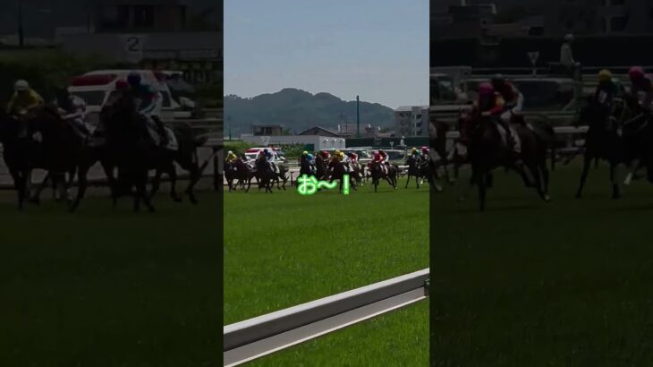 福島競馬場スタート直後感動する人 #shorts #競馬 #競馬予想 #競馬場 #けいば #馬
