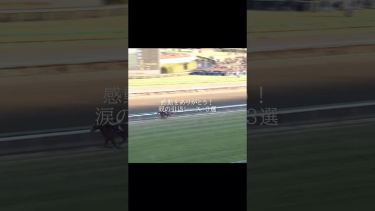 あなたの感動した引退レースといえば？ #競馬 #競馬予想 #武豊 #shorts