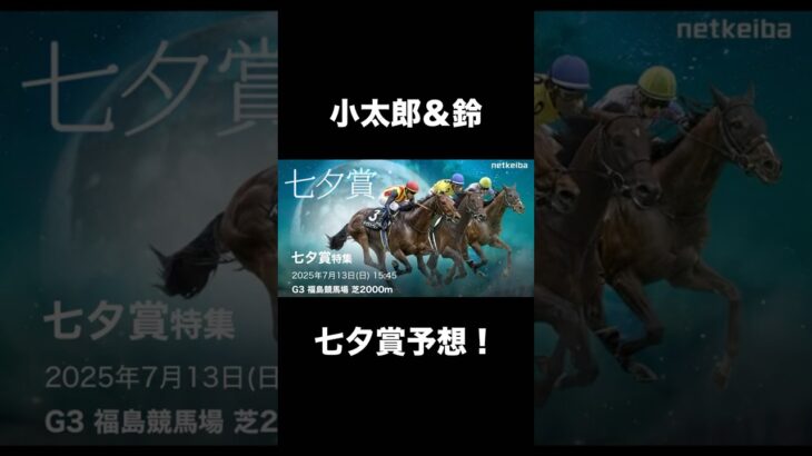 〜七夕賞、小太郎と鈴予想！〜 #フェレット #競馬予想 #ボール遊び #shorts #ferret #kawaii