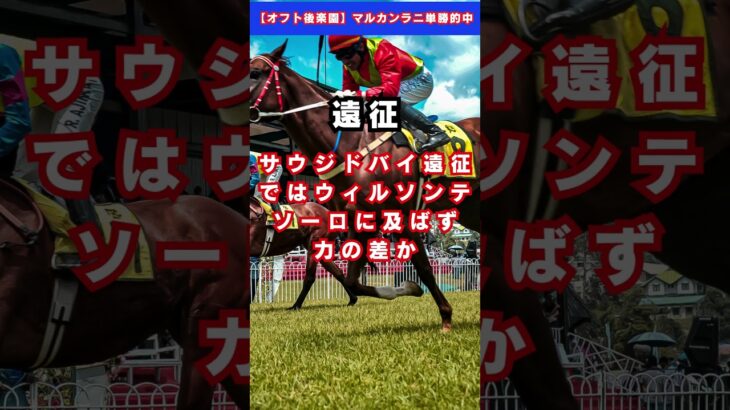 【帝王賞】ラムジェット #予想 #競馬 #競馬予想