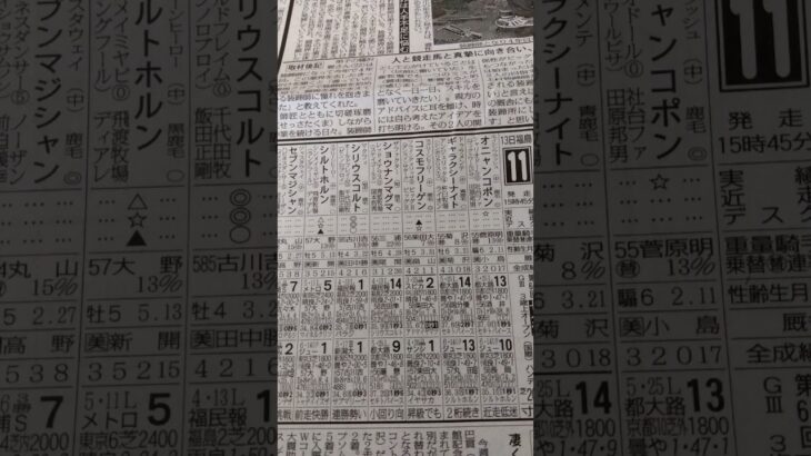 今週中央競馬予想