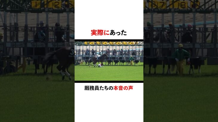 厩務員の声 #競馬 #中央競馬予想 #中央競馬 #競馬予想 #厩務員#競馬女子