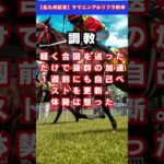 【七夕賞】コスモフリーゲン #予想 #競馬 #中央競馬予想 #競馬予想