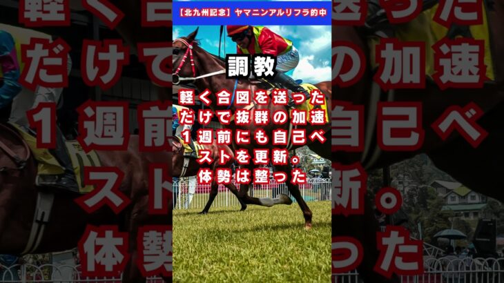 【七夕賞】コスモフリーゲン #予想 #競馬 #中央競馬予想 #競馬予想