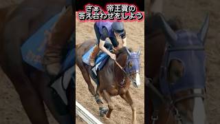 【帝王賞の答え合わせ】 帝王賞の予想集#競馬 #競馬予想 #競馬反応集 #帝王賞#ウィルソンテソーロ #ミッキーファイト