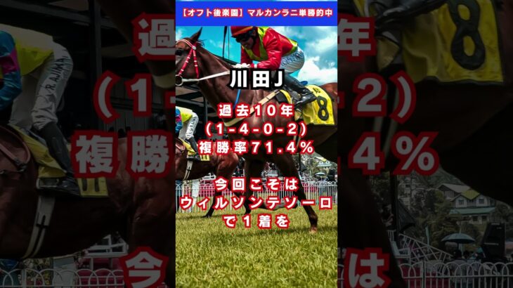 【帝王賞】ウィルソンテソーロ #予想 #競馬 #競馬予想