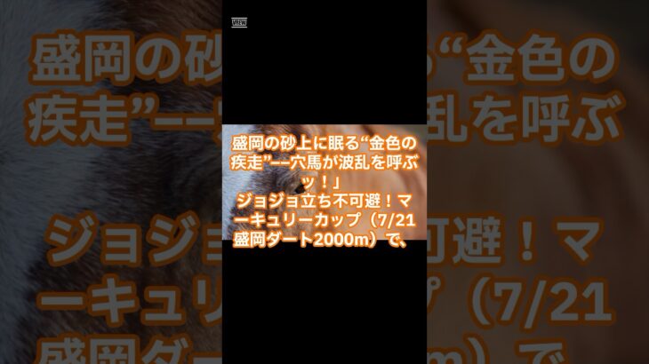 マーキュリーカップ  混戦予想 #競馬 #競馬好きと繋がりたい #競馬予想