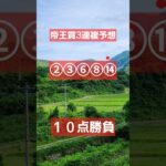 当たらない競馬予想です。見るだけでお願いします🙇